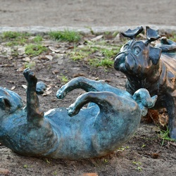 2026-01-08 Brandenburg an der Havel/Waldmöpse/DSC_2393.JPG